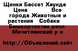 Щенки Бассет Хаунда  › Цена ­ 25 000 - Все города Животные и растения » Собаки   . Башкортостан респ.,Мечетлинский р-н